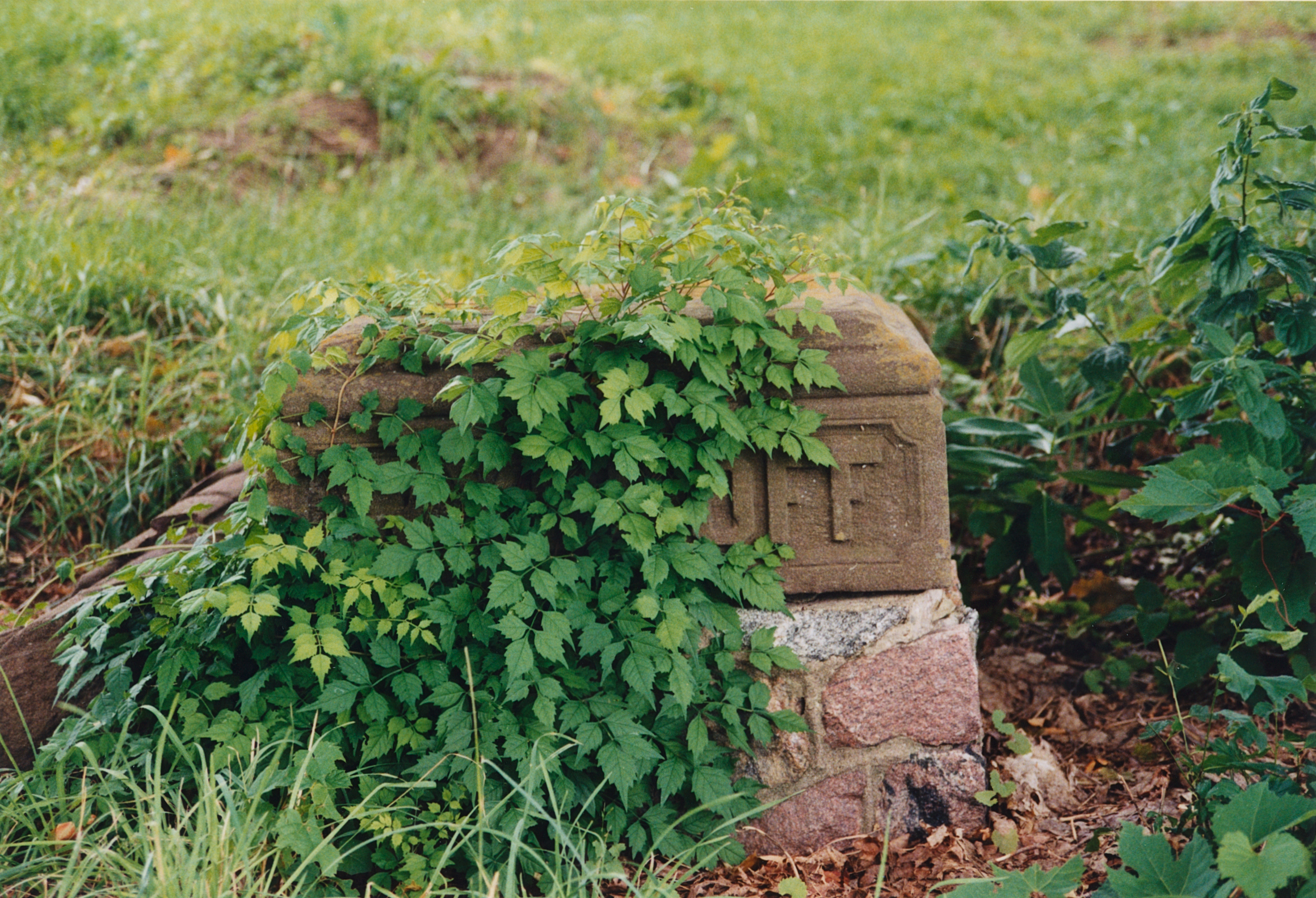 Fle-1 4619 Wycoff Rd 3